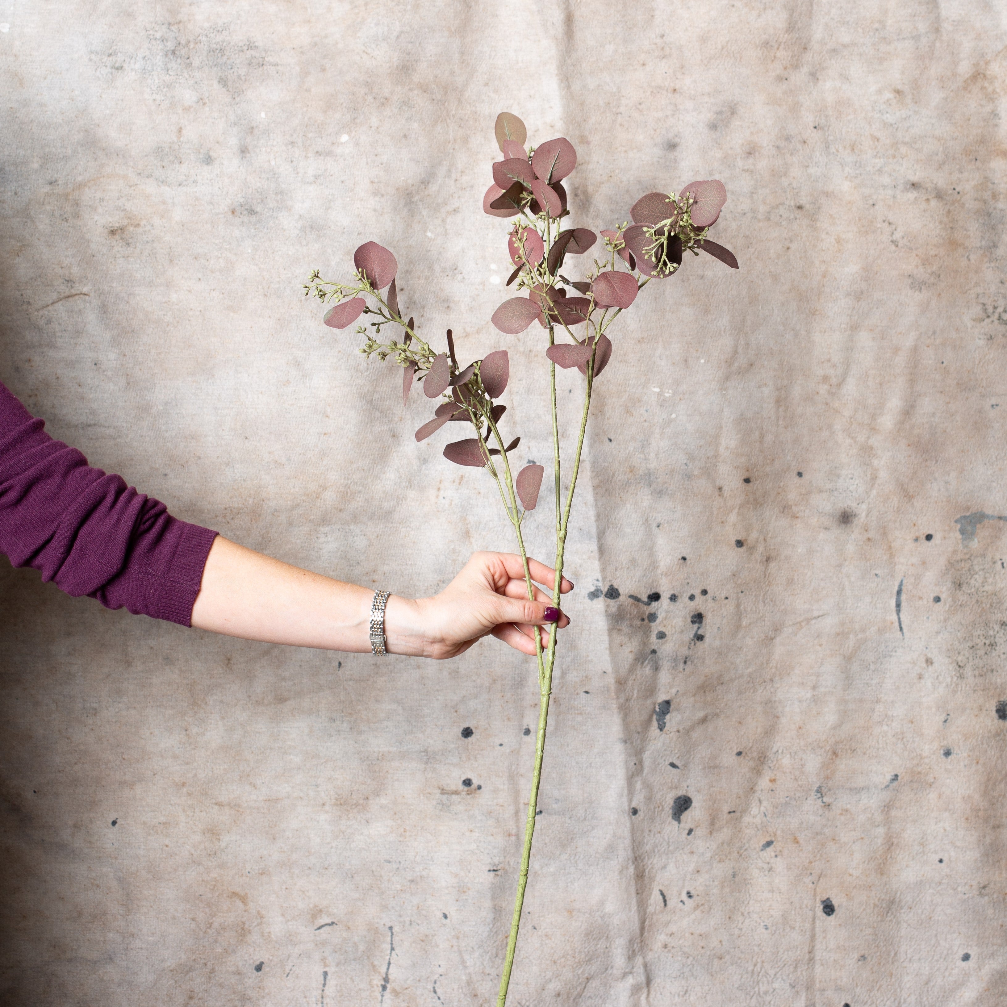 Aubergine Eucalyptus