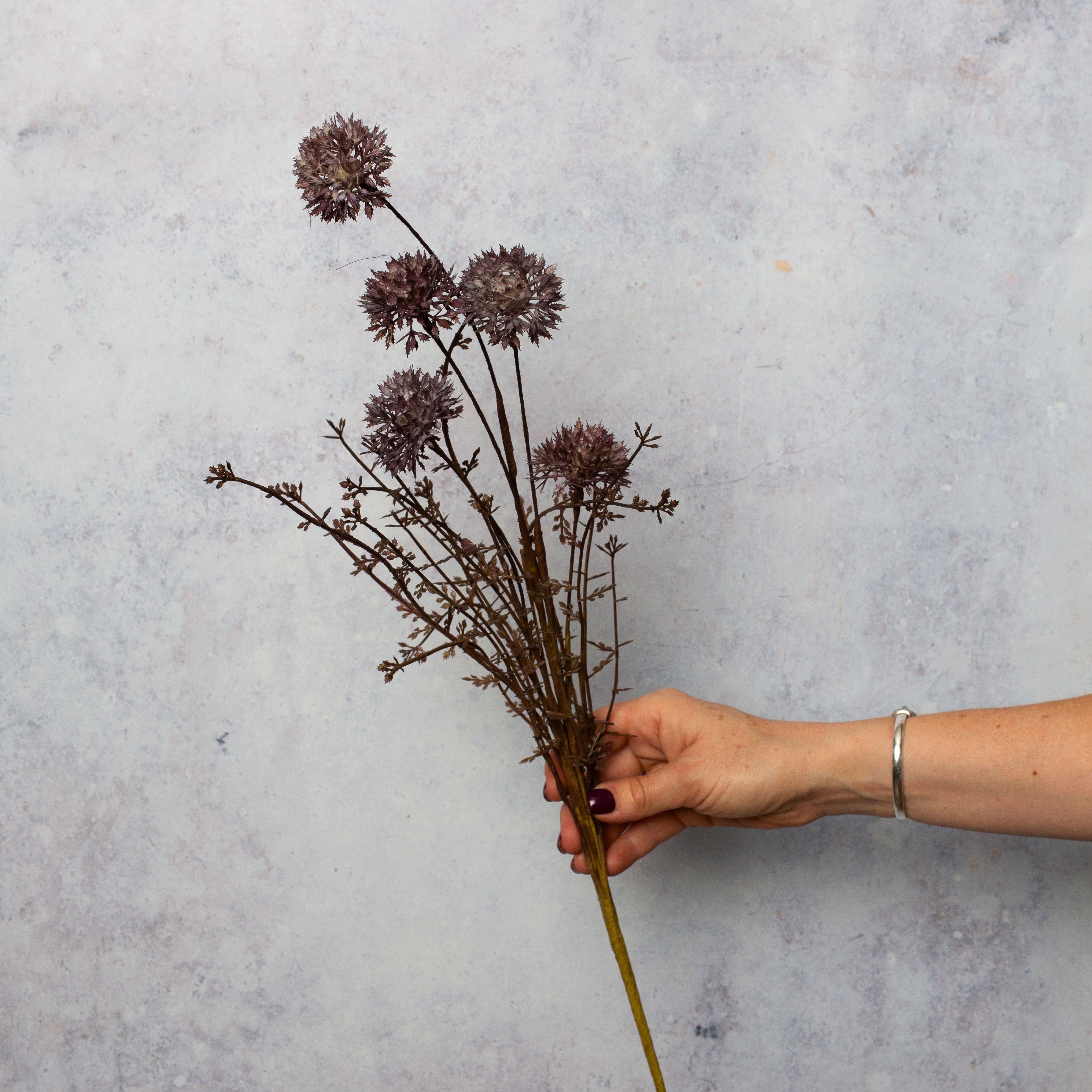 Burgundy Heathflower