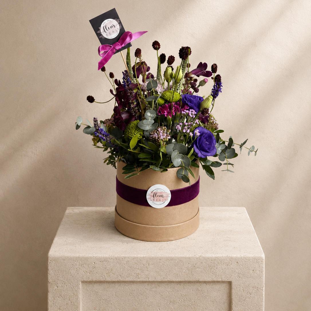 Damson Dawn