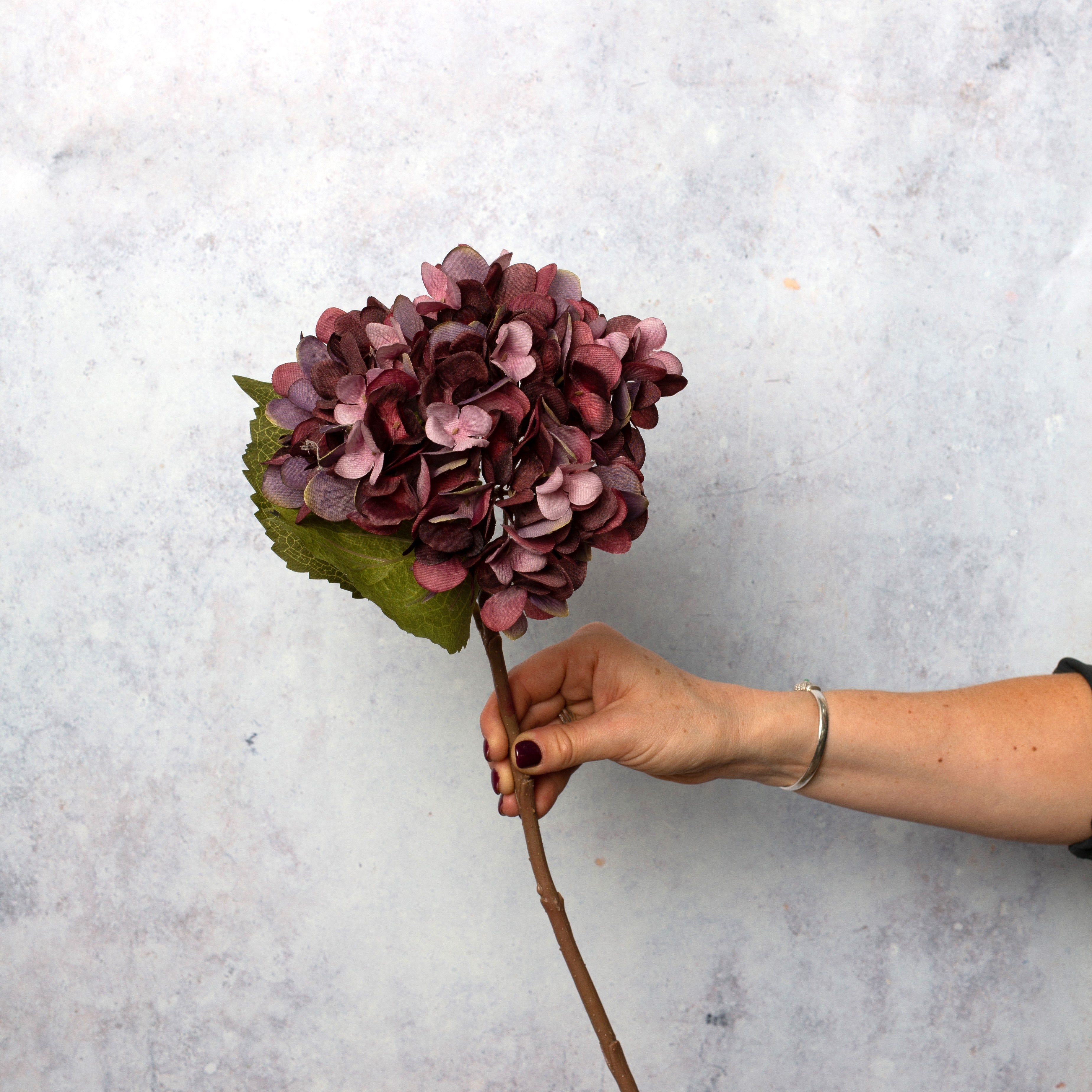 Deep Plum Hydrangeas