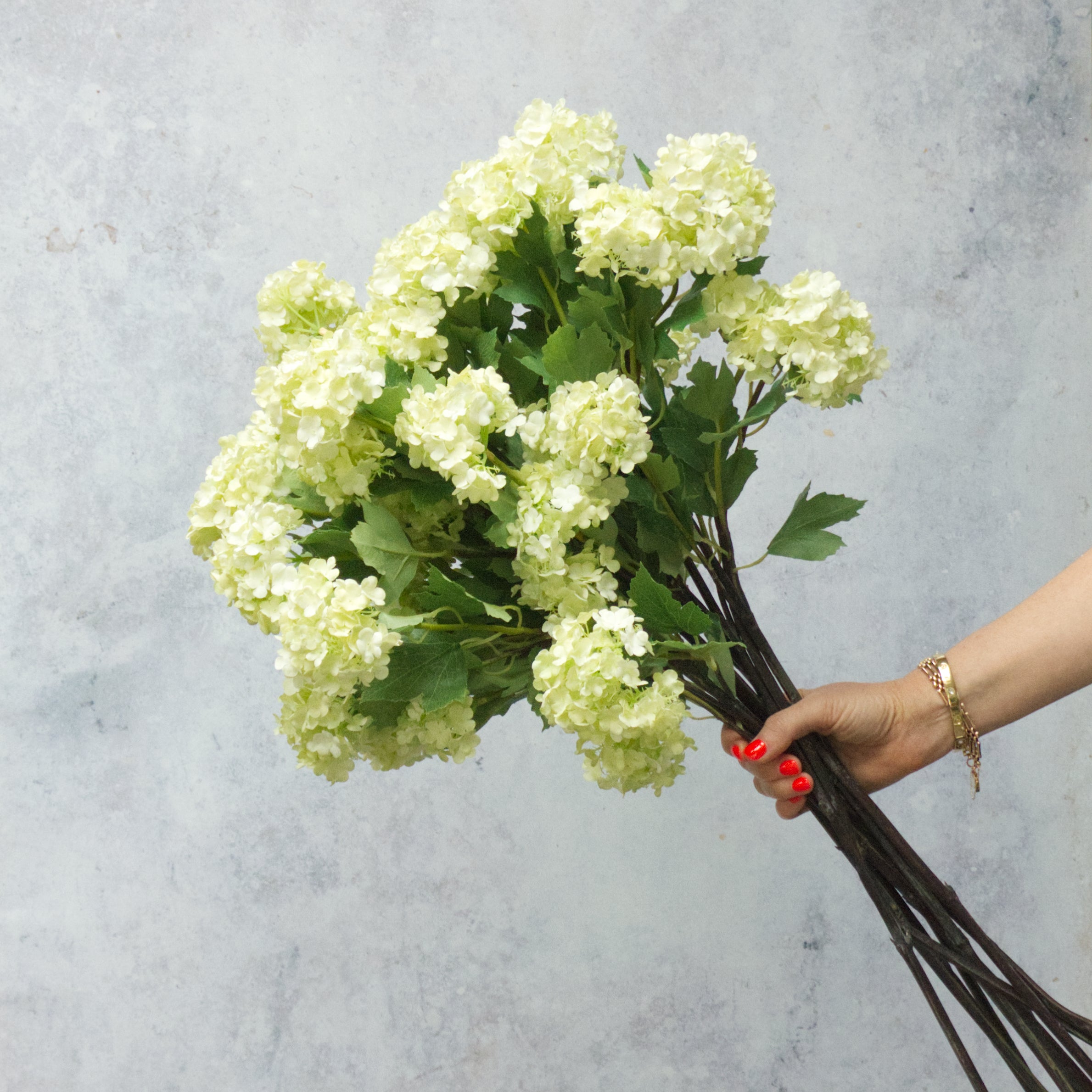 Lime Summer Viburnum