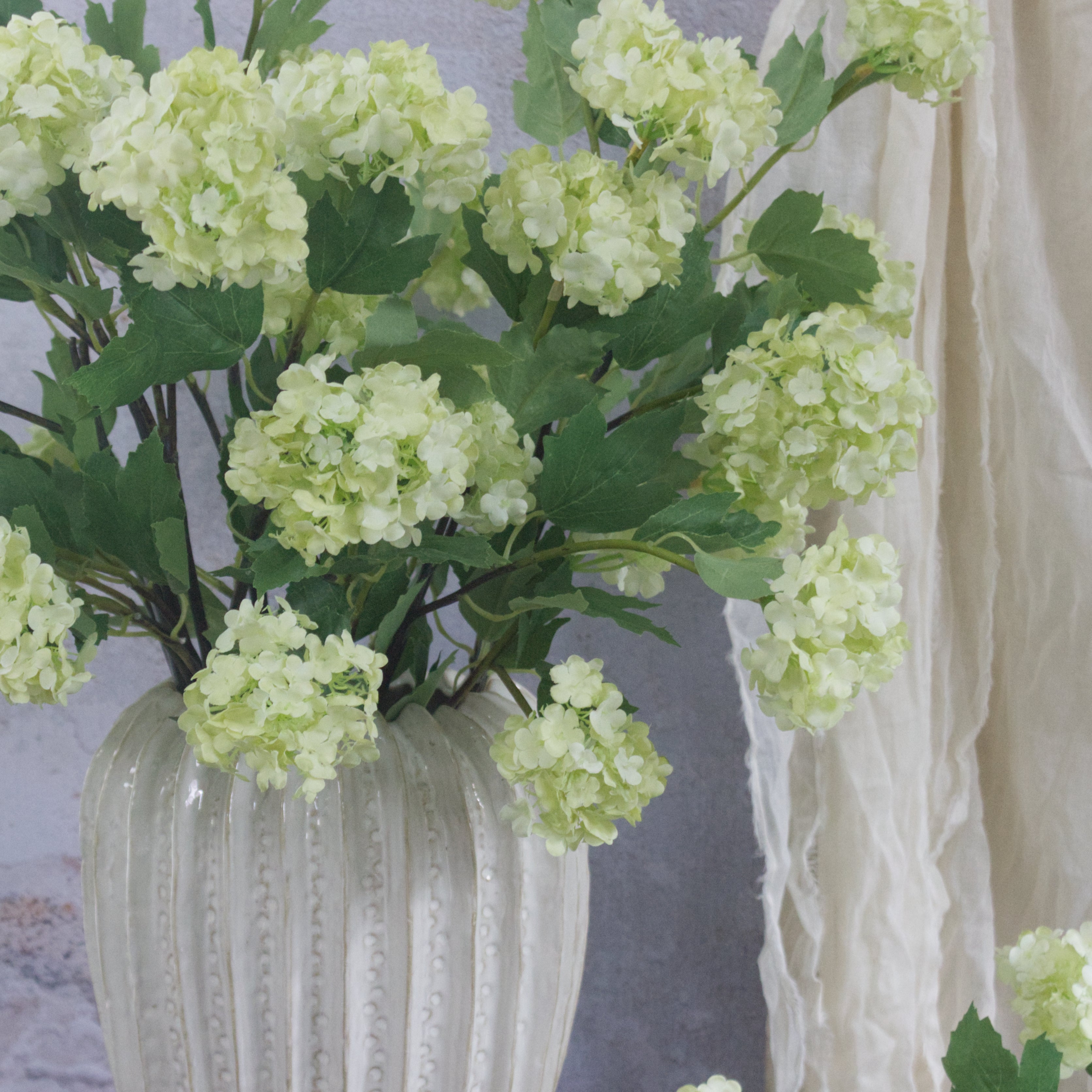 Lime Summer Viburnum
