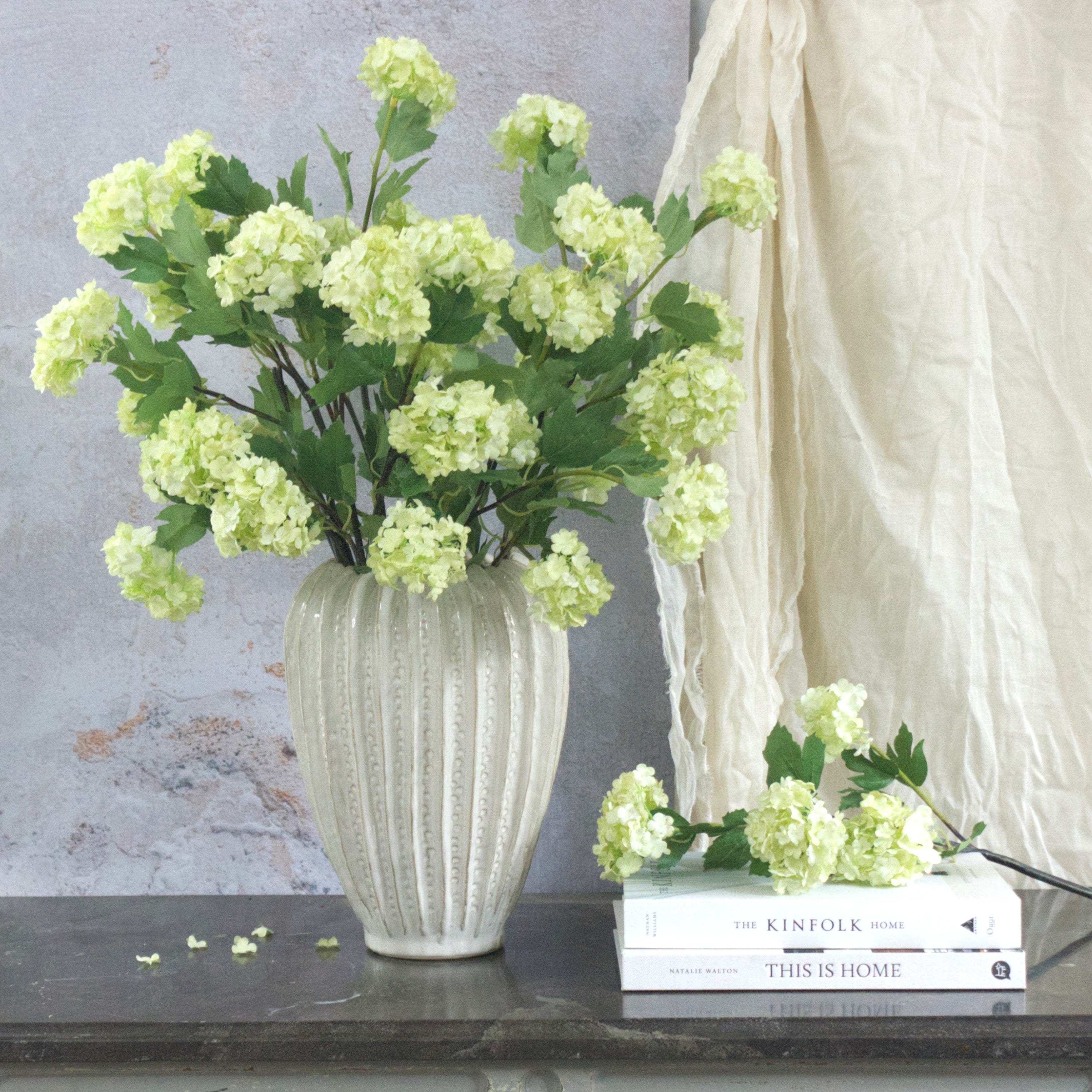 Lime Summer Viburnum