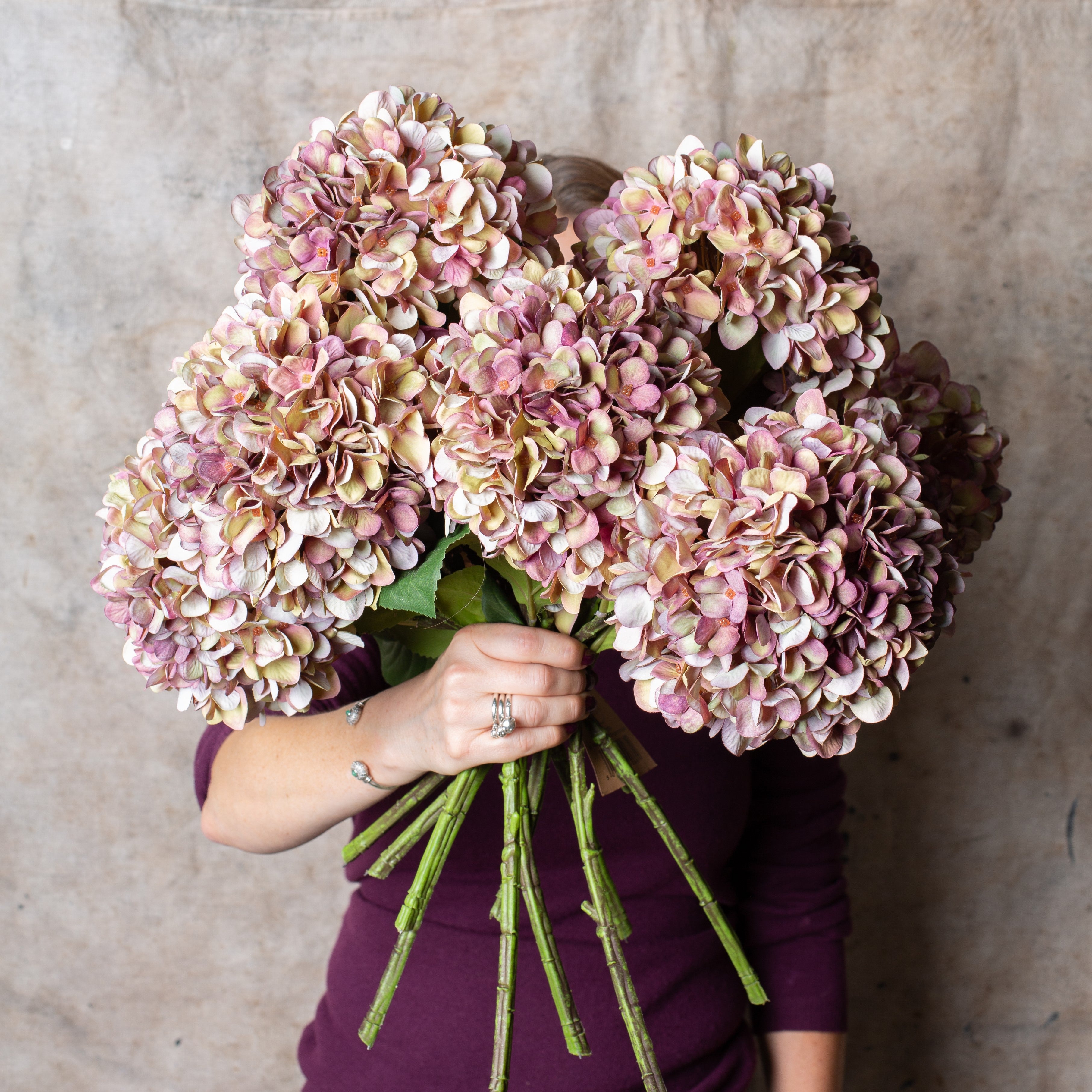 Mottled Plum Hydrangea