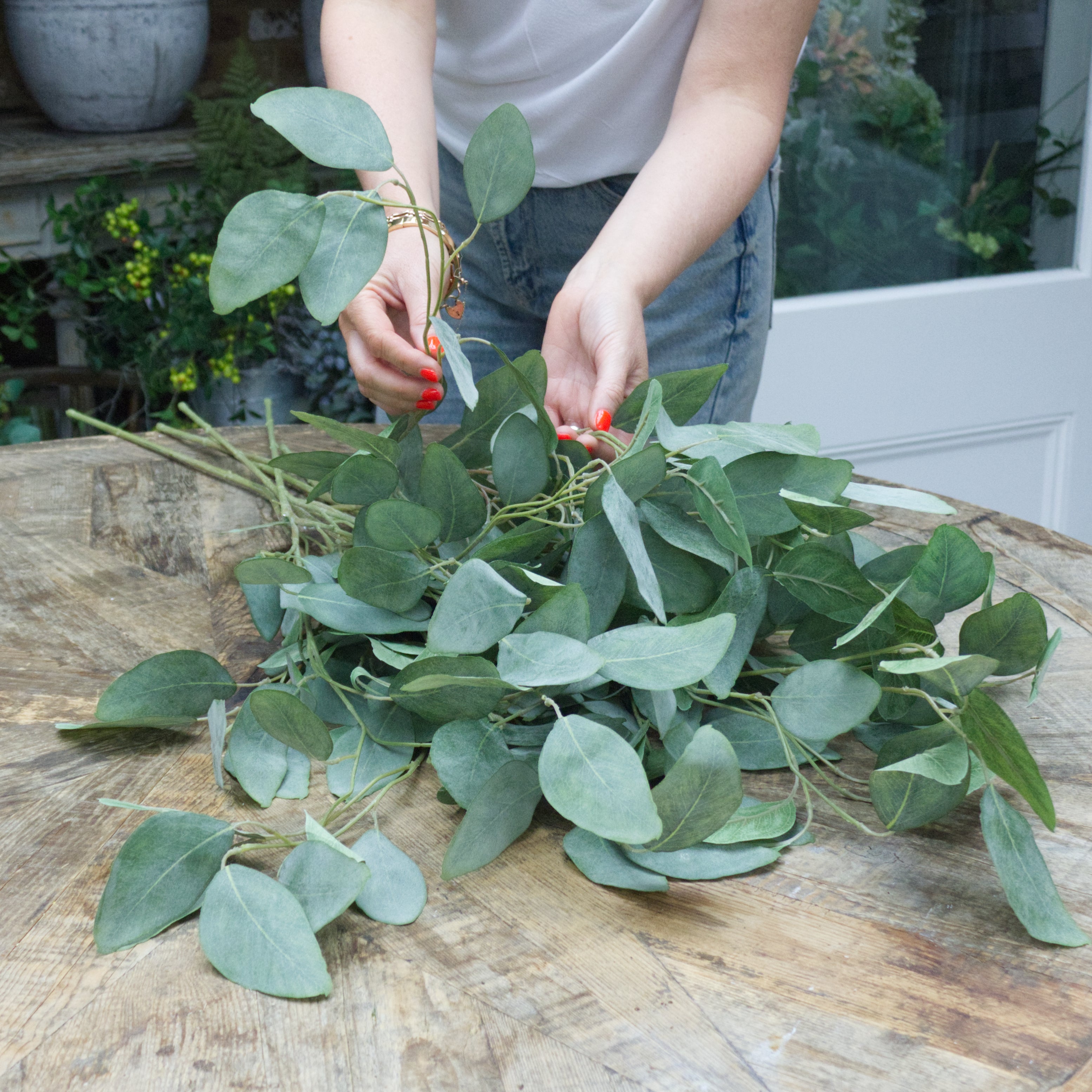 Silver Dollar Eucalyptus