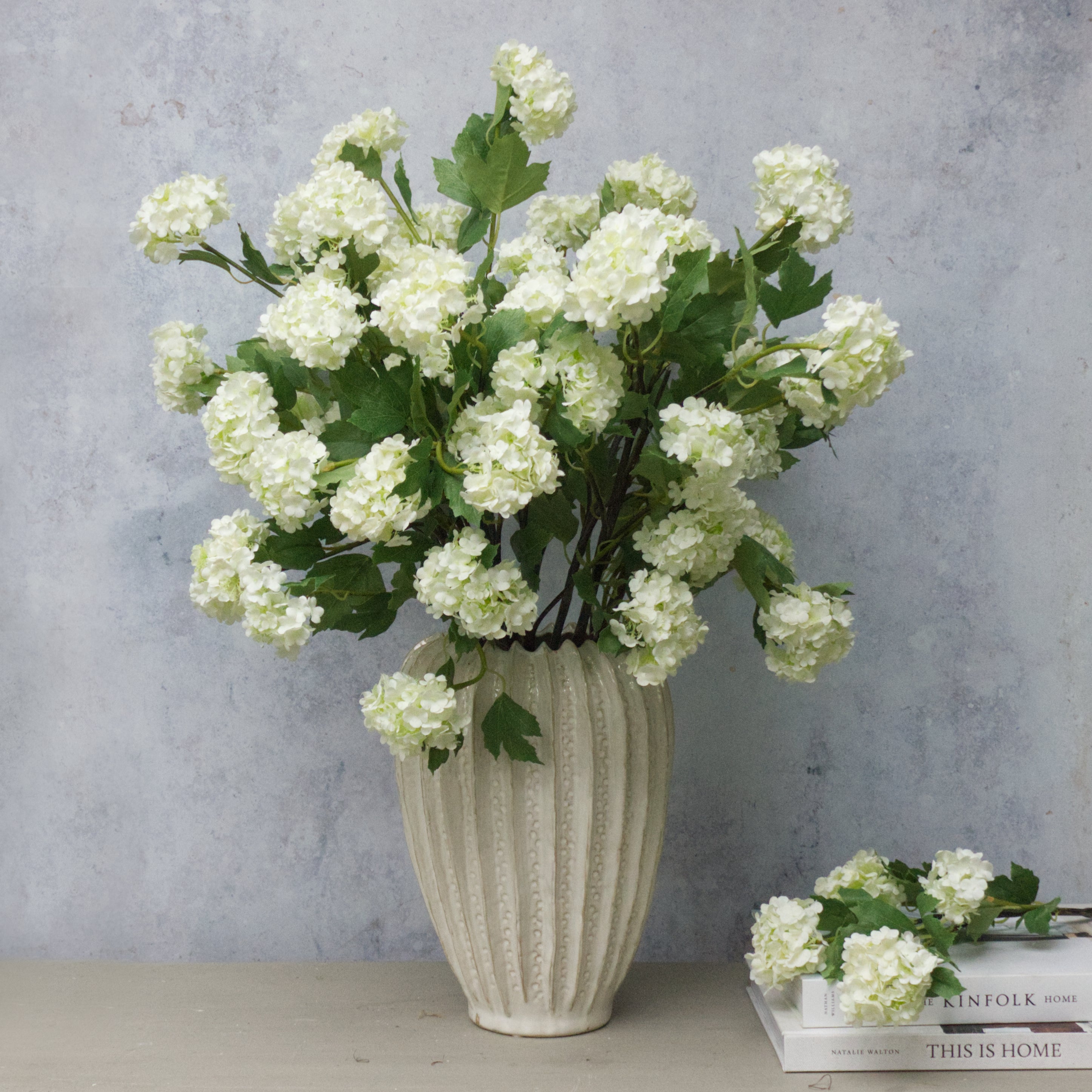 White Summer Viburnum