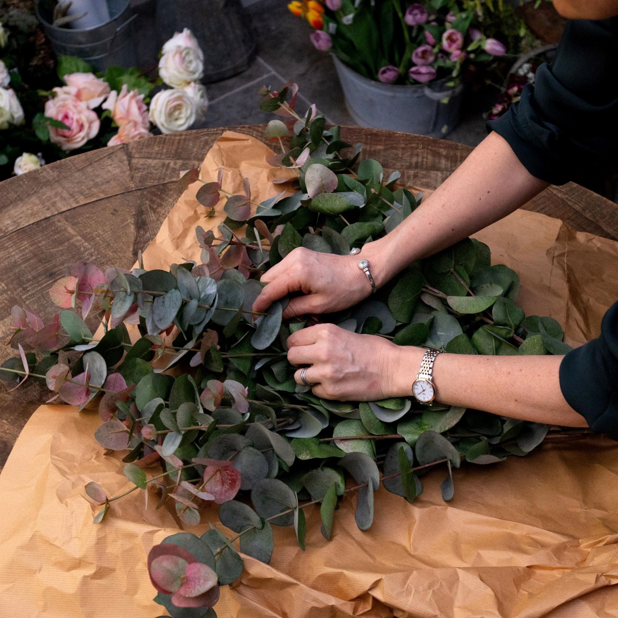 Pink Tinged Eucalyptus