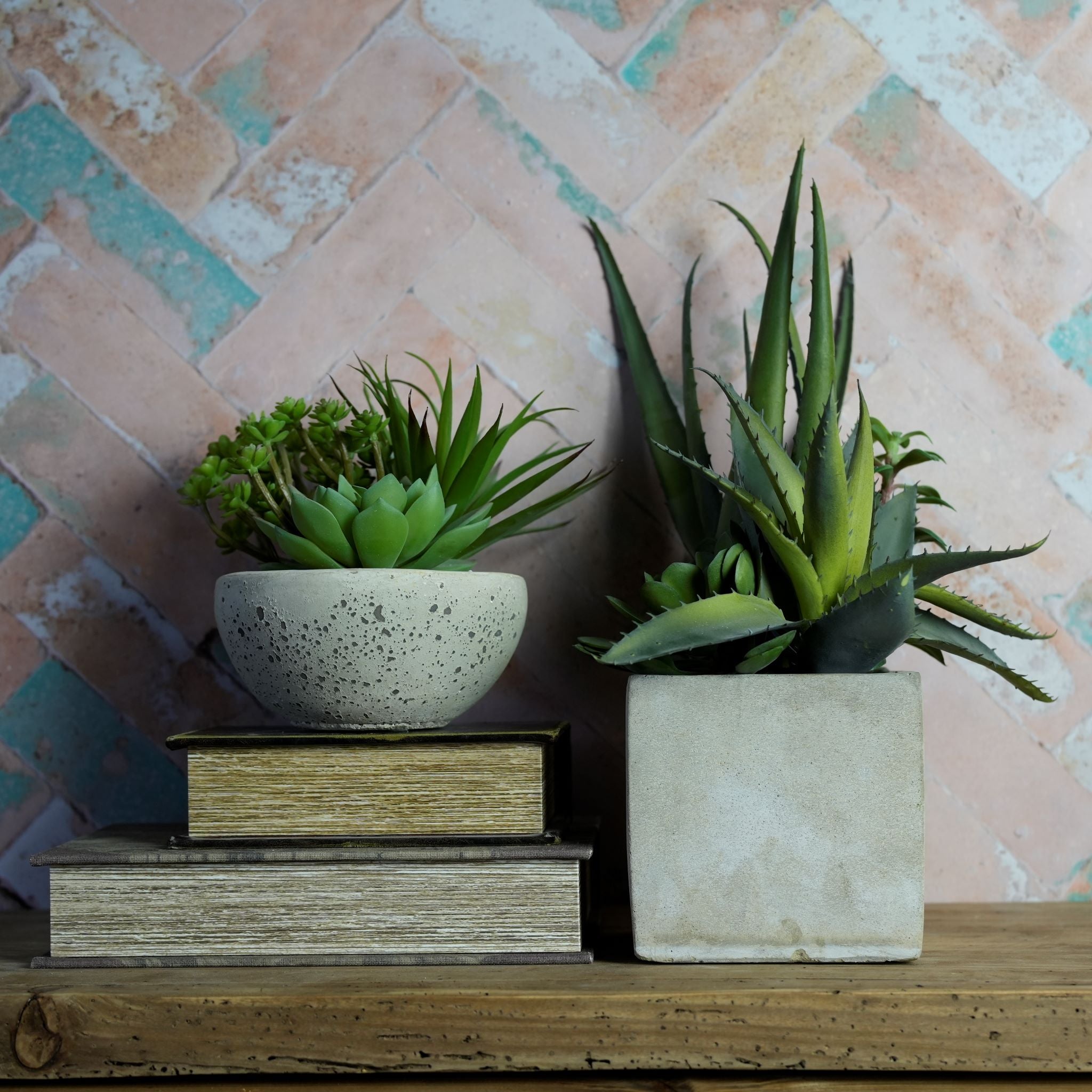 Small Succulent Bowl