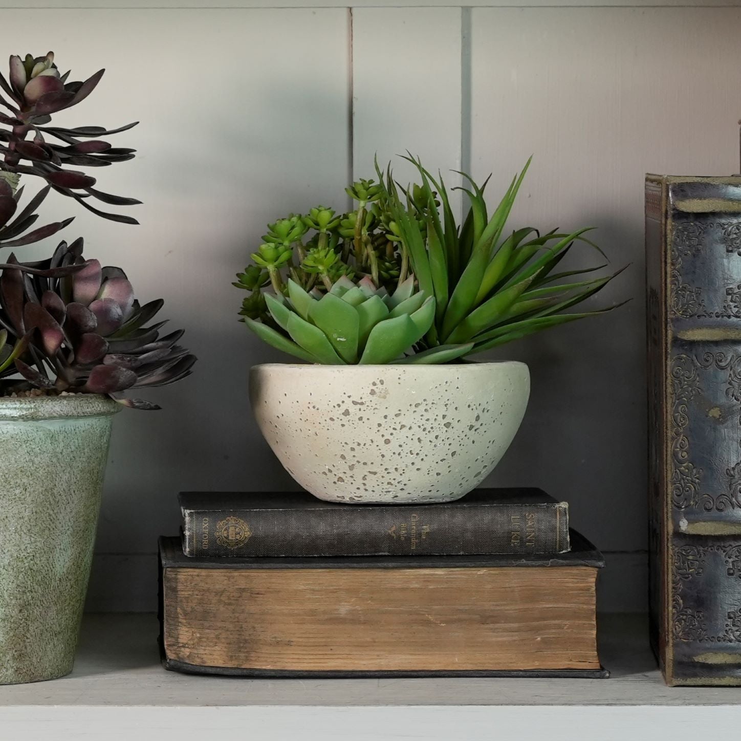 Small Succulent Bowl