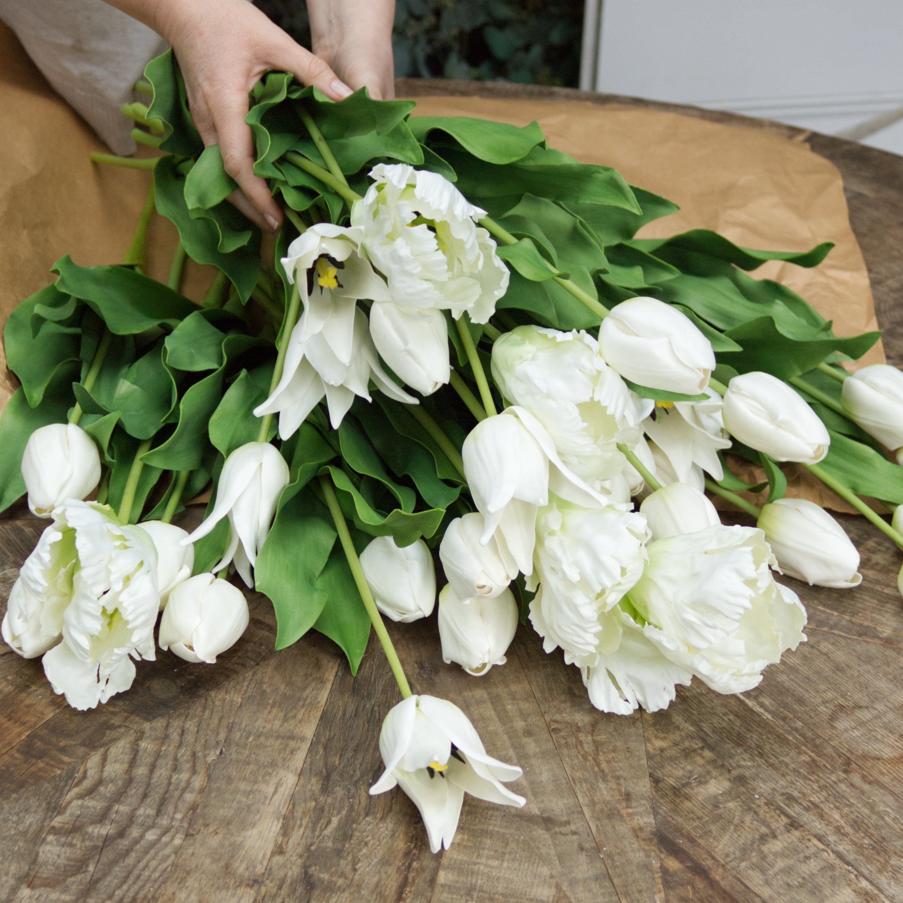 Deluxe White Lily Tulip (Open)