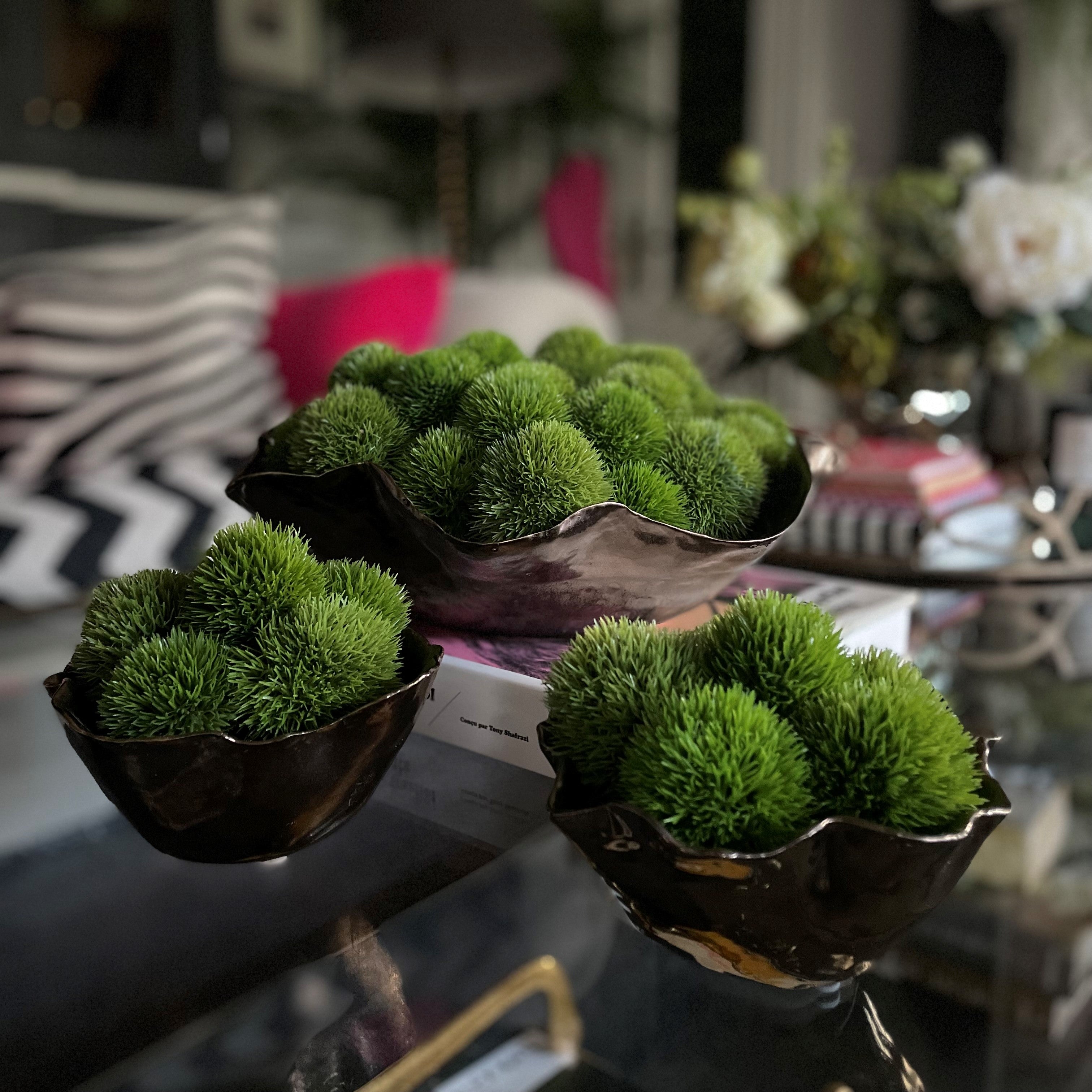 Dianthus Bowls