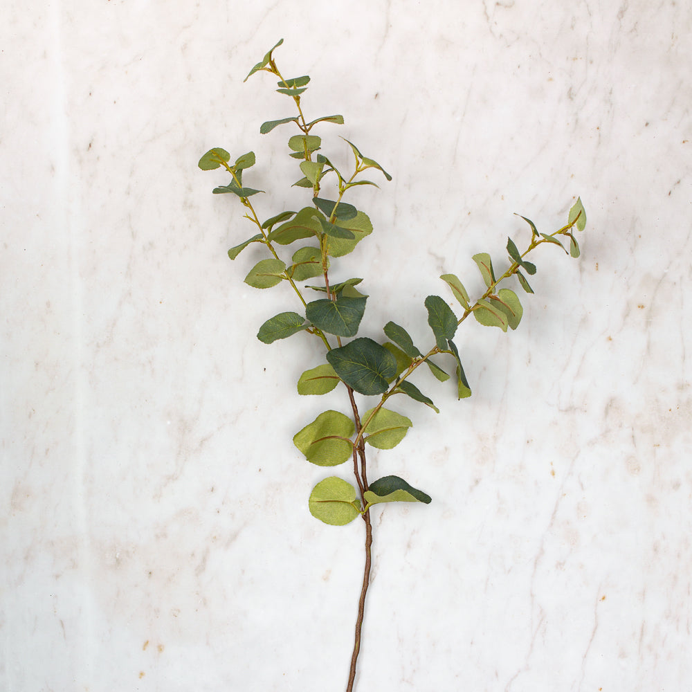 Dark Green Eucalyptus