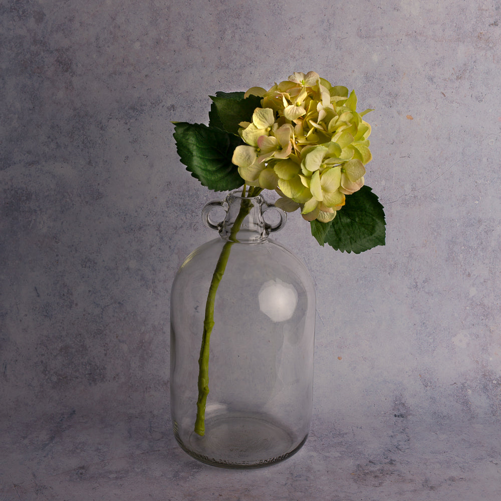 Light Green Hydrangea