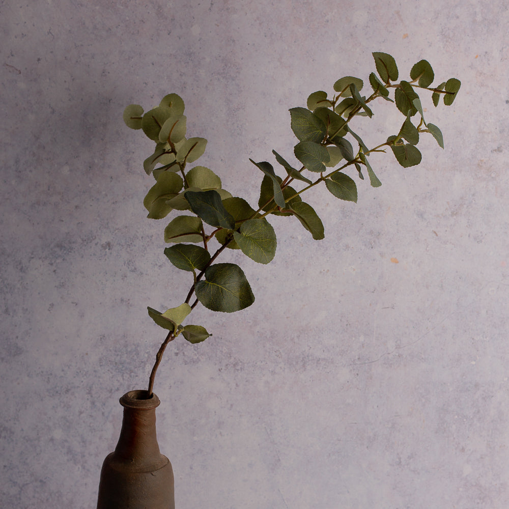 Dark Green Eucalyptus