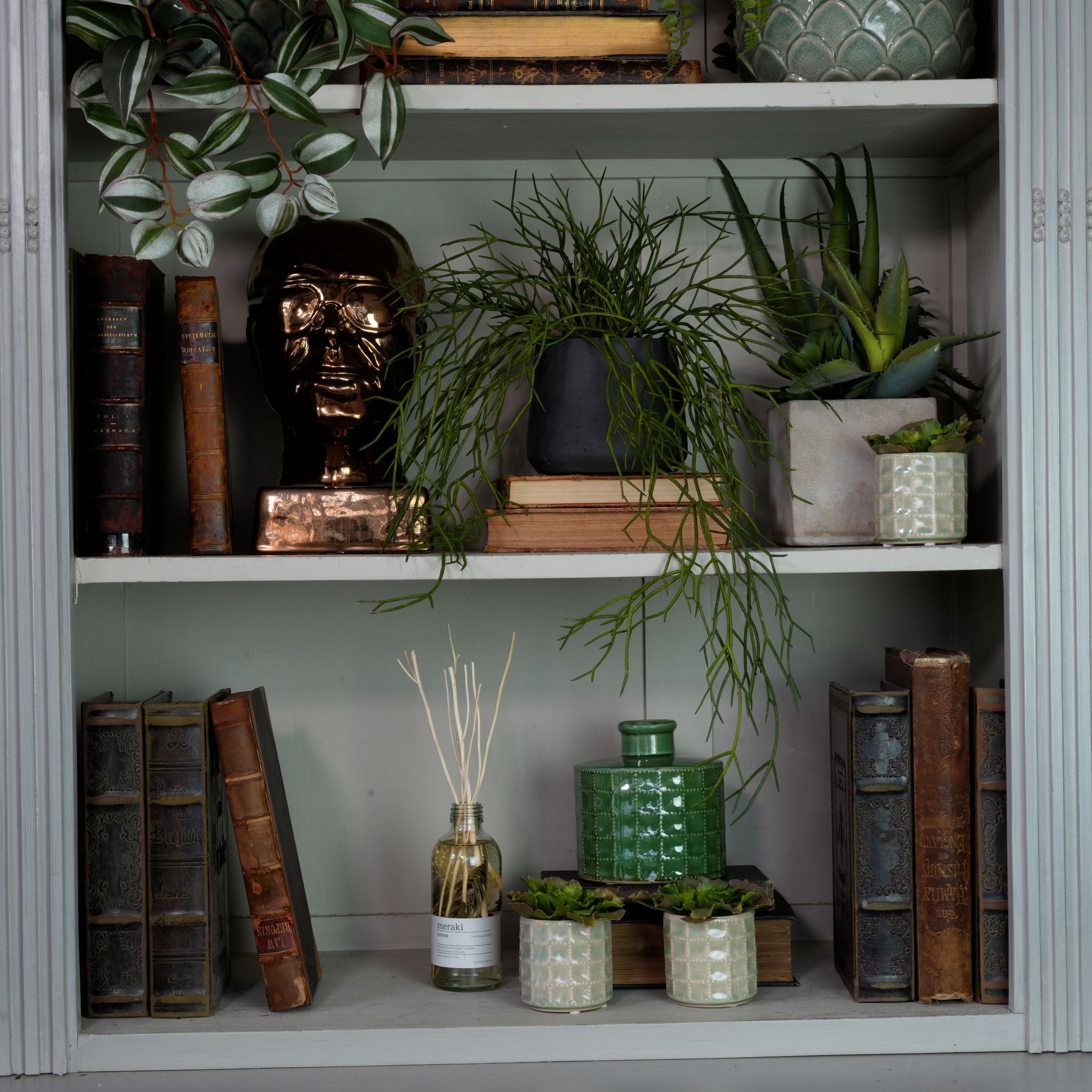 Horsetail Grass Plant