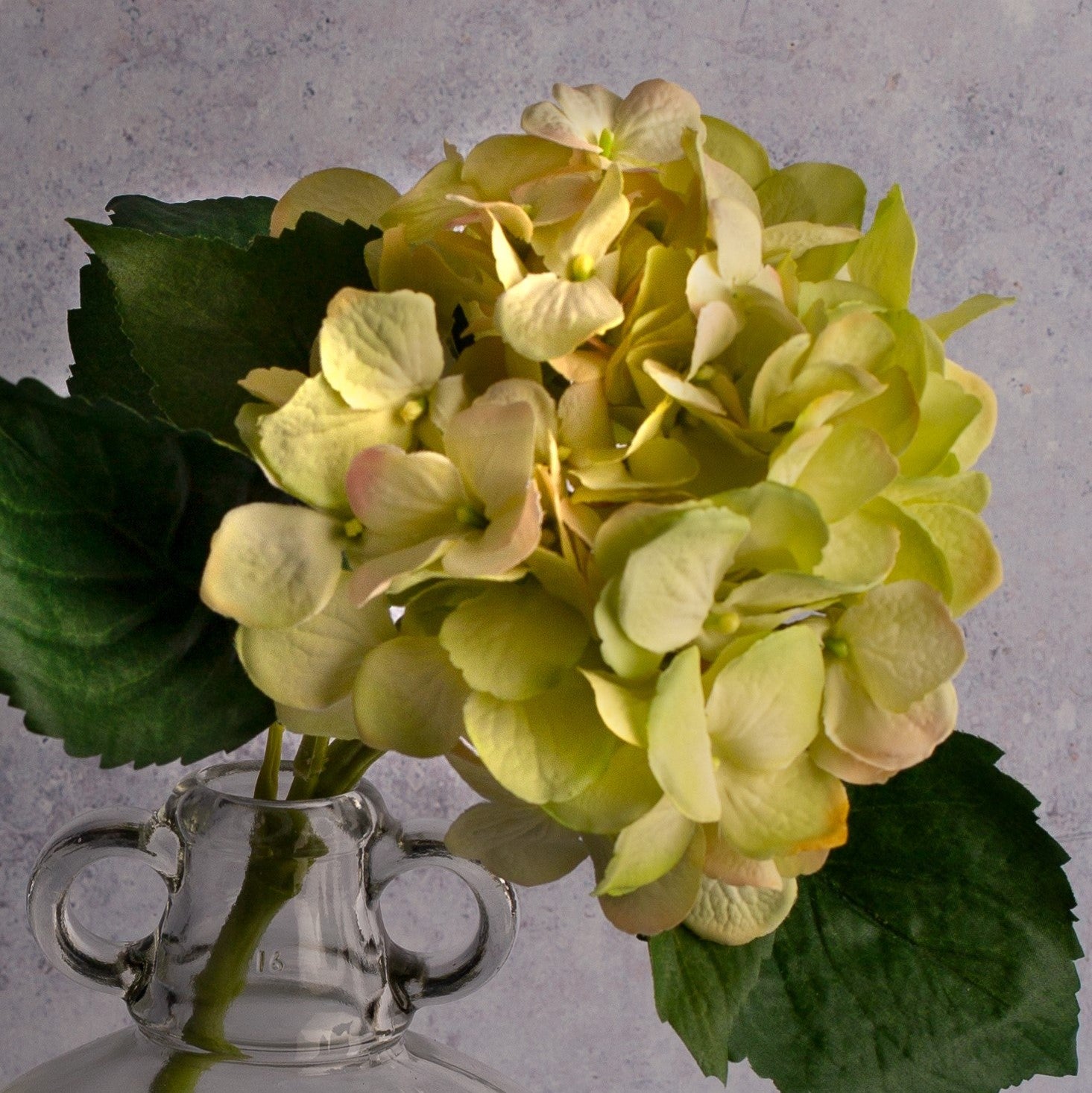Light Green Hydrangea