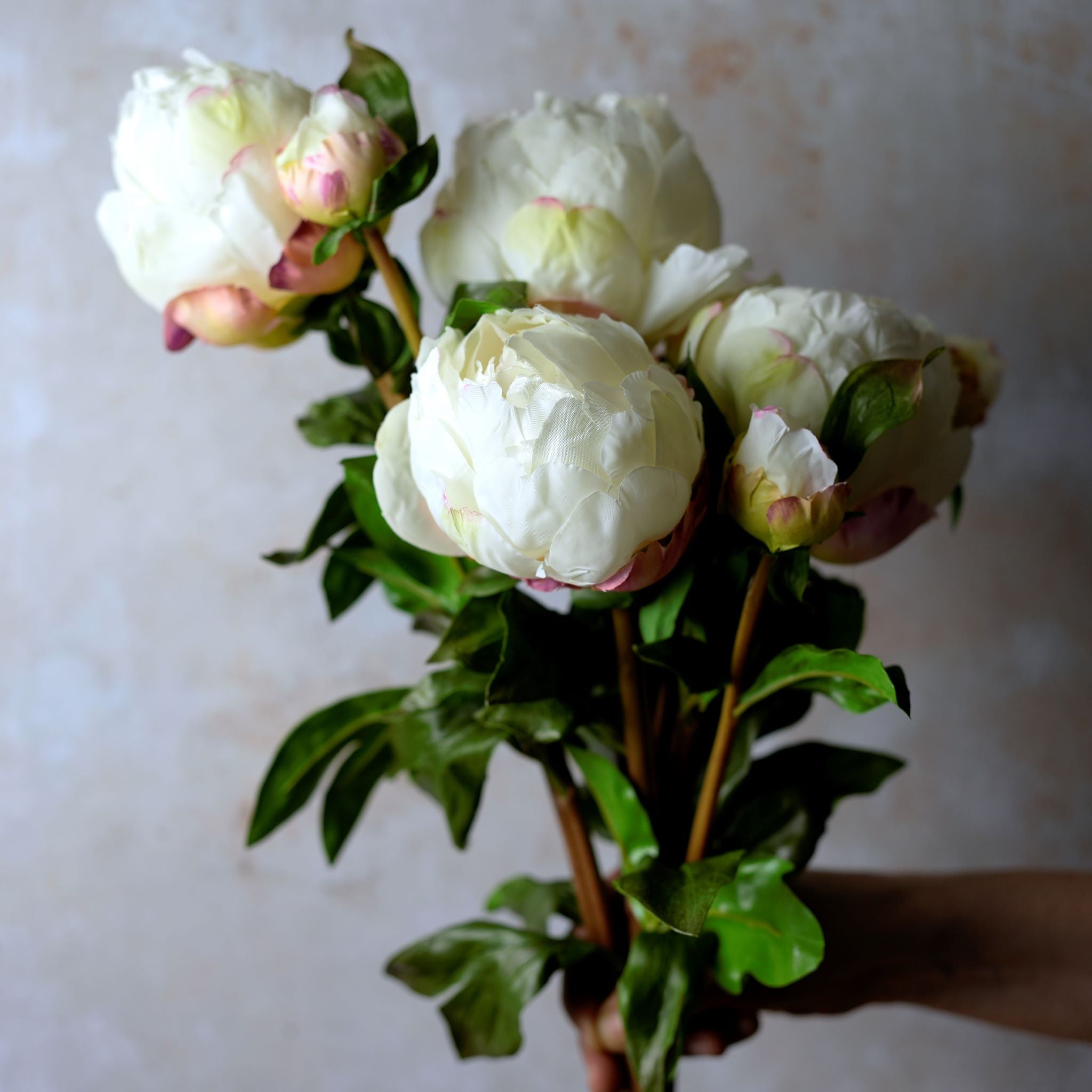 Peony (Closed)