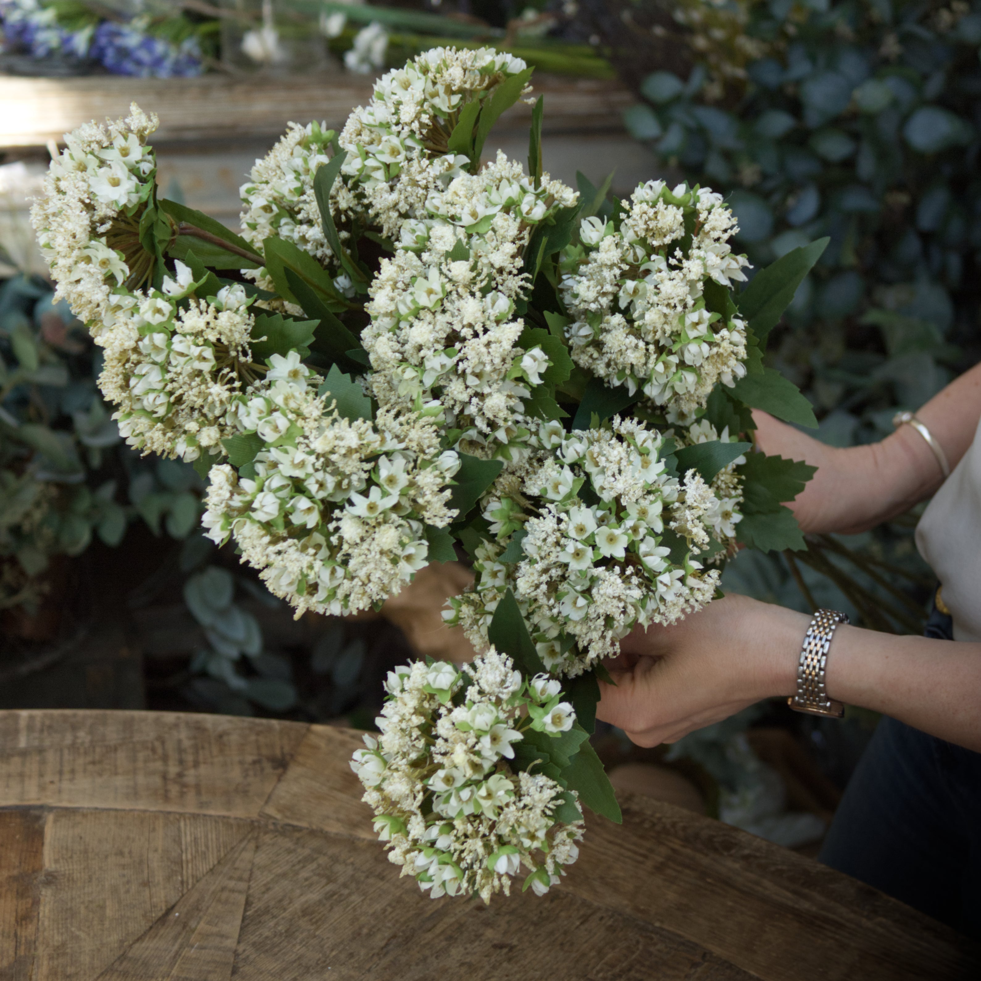 Queen Anne Lace Spray