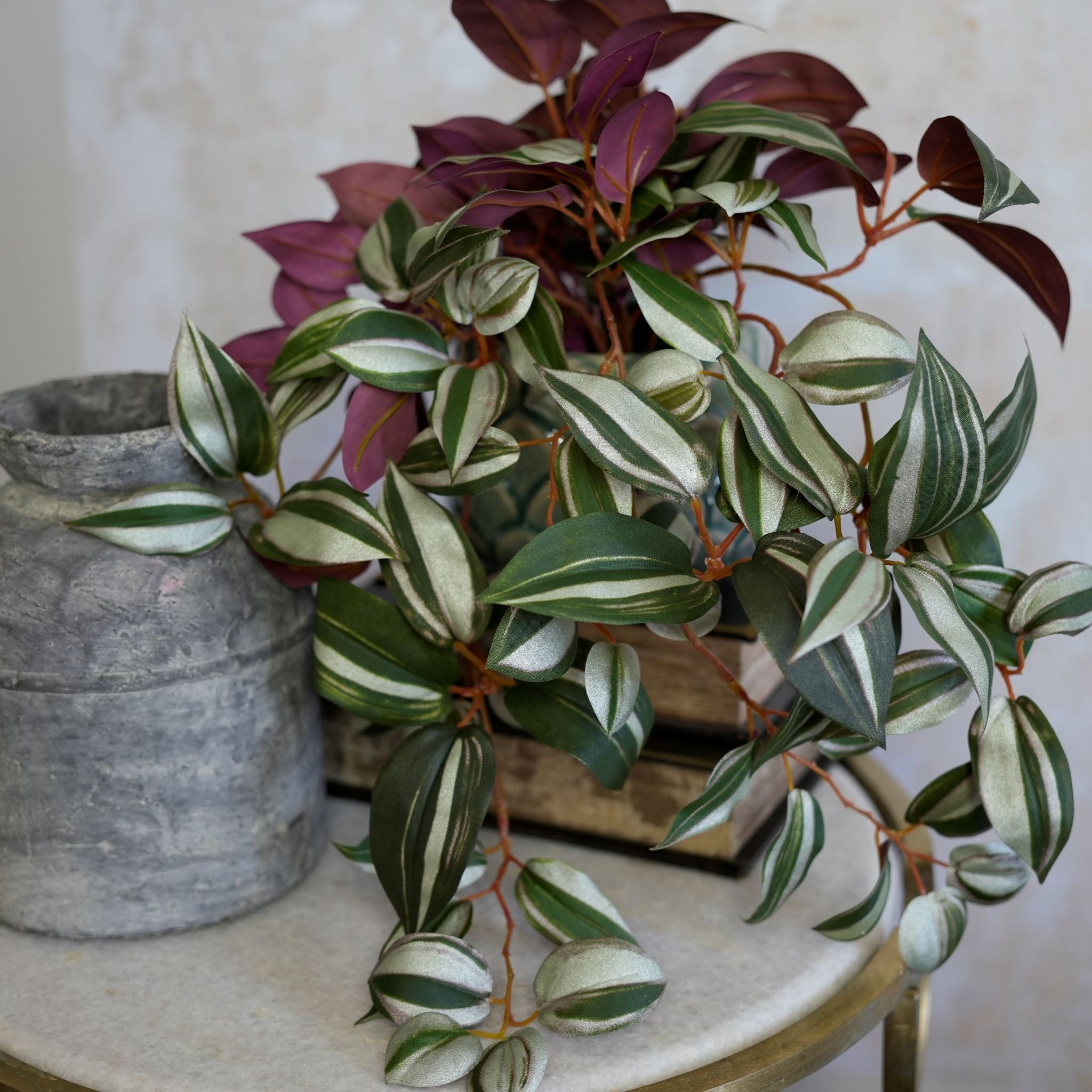 Tradescantia