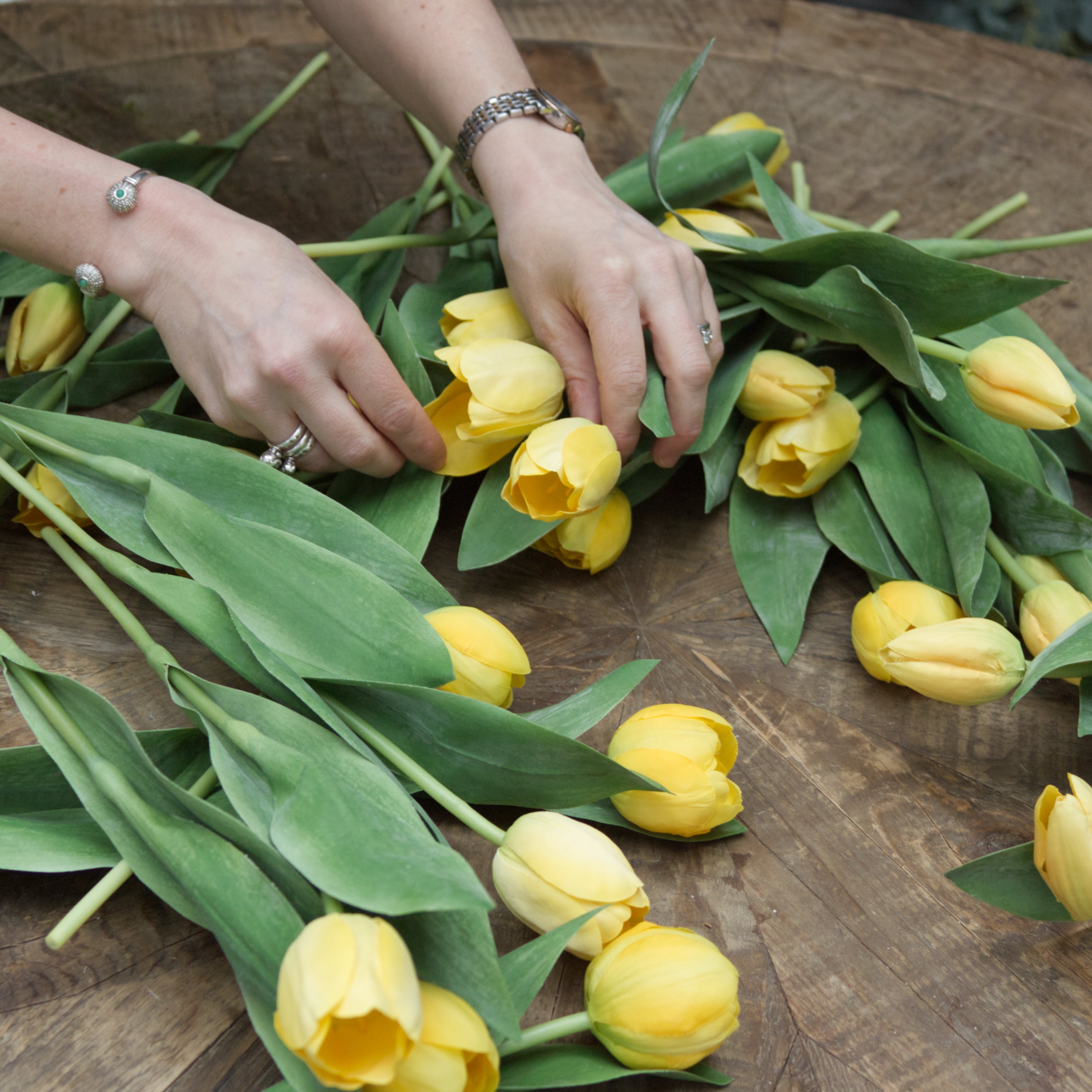 Tulips (Yellow)