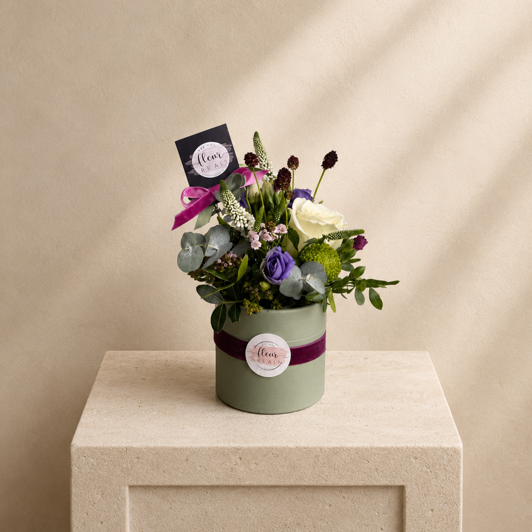 Damson Dawn