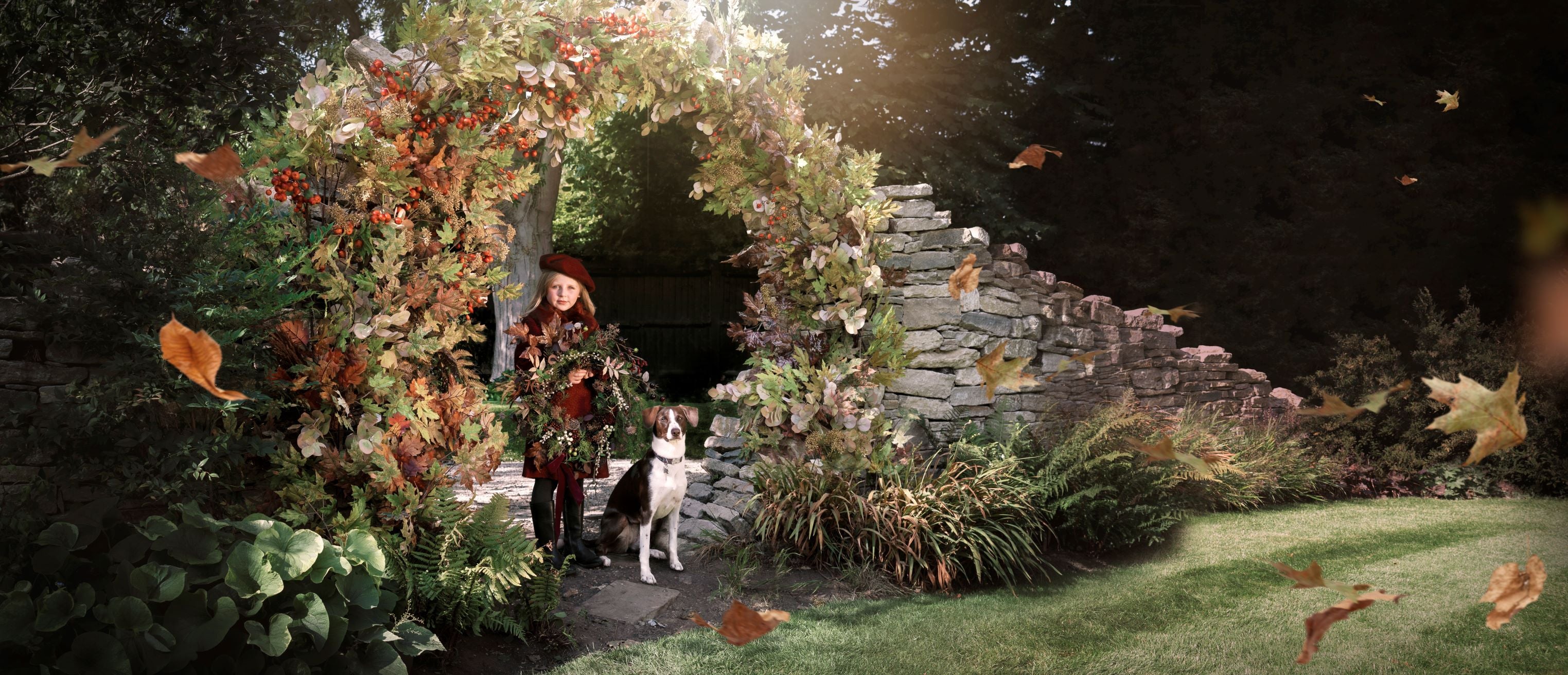img-holiwood