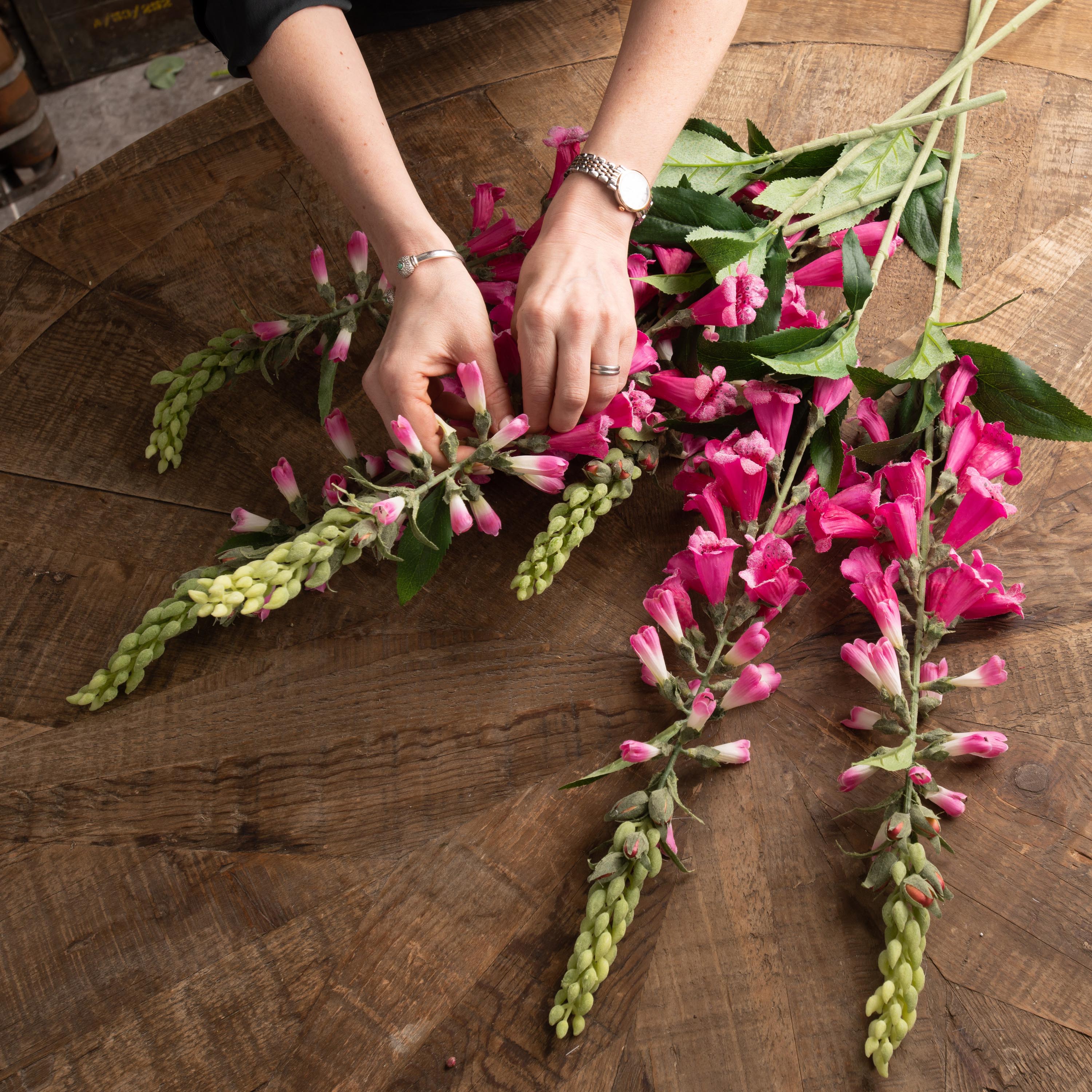 Hot Pink Foxglove