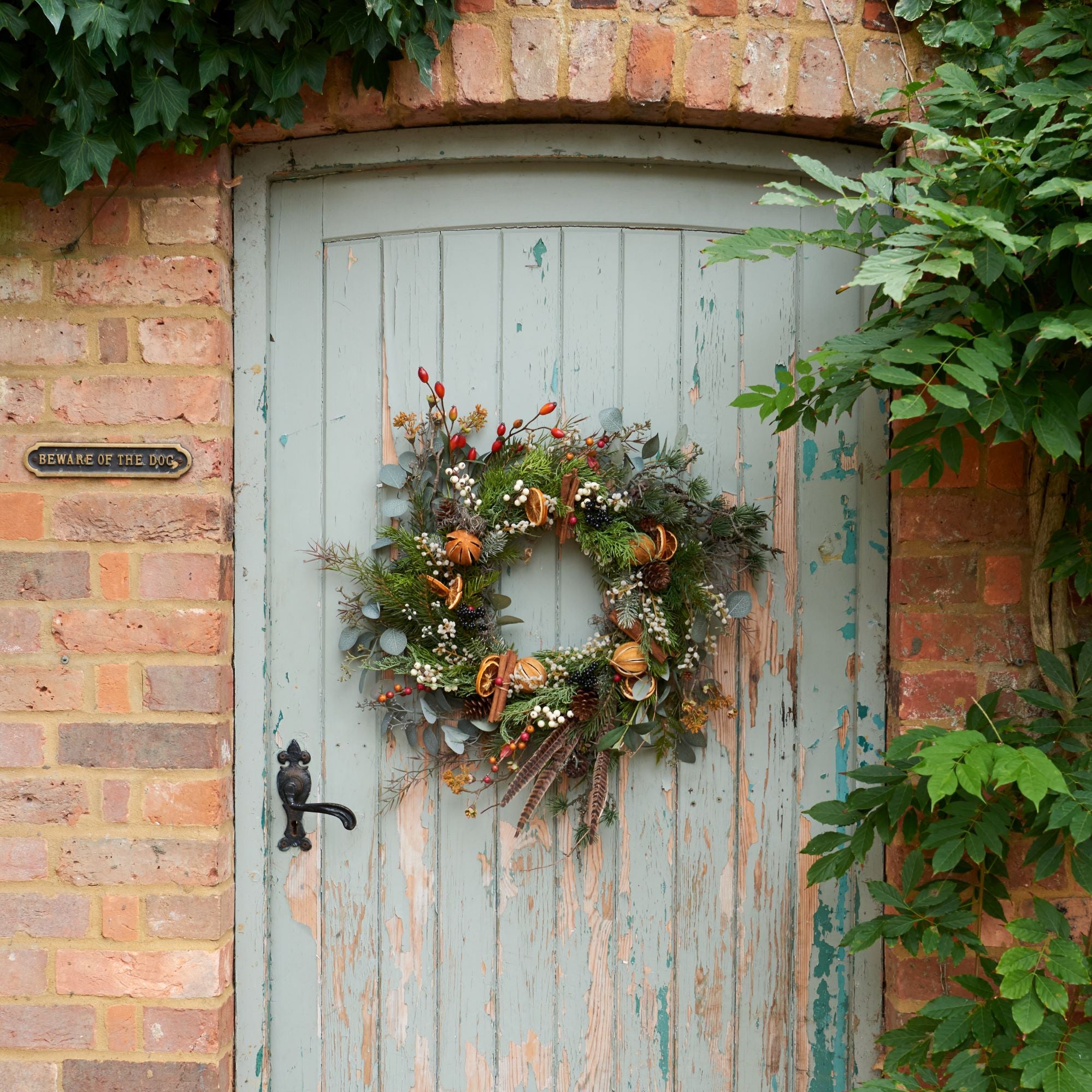 Festive Cinnamon Orange