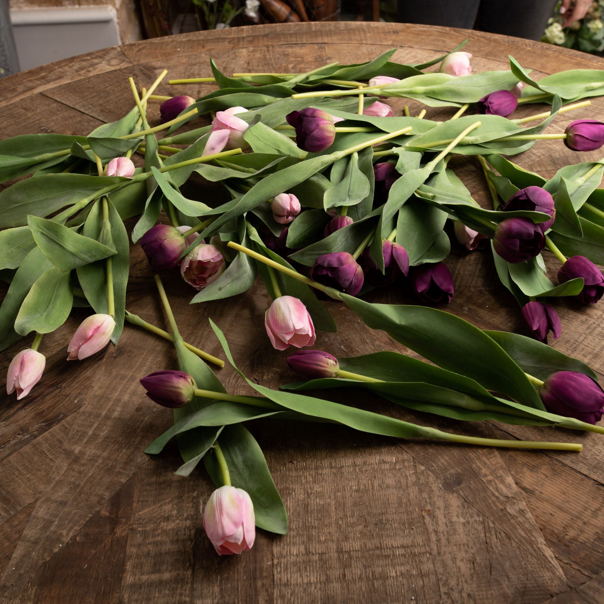 Tulips (Purple)